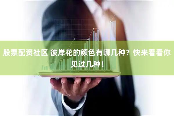 股票配资社区 彼岸花的颜色有哪几种？快来看看你见过几种！