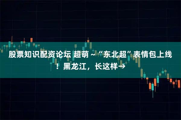 股票知识配资论坛 超萌～“东北超”表情包上线！黑龙江，长这样→